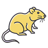 Уничтожение крыс